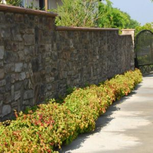 Nandina - Firepower #2 (Home) - Image 1